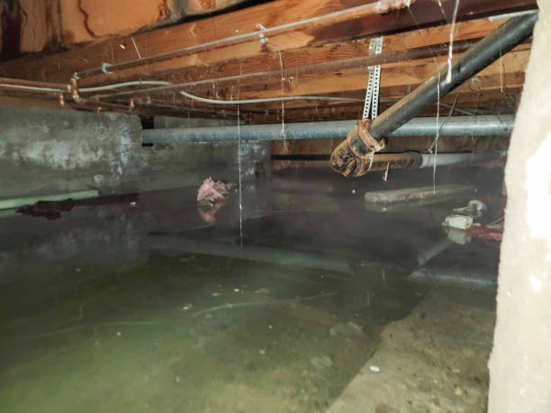 Best 24/7 water damage repair  in Renovo, PA