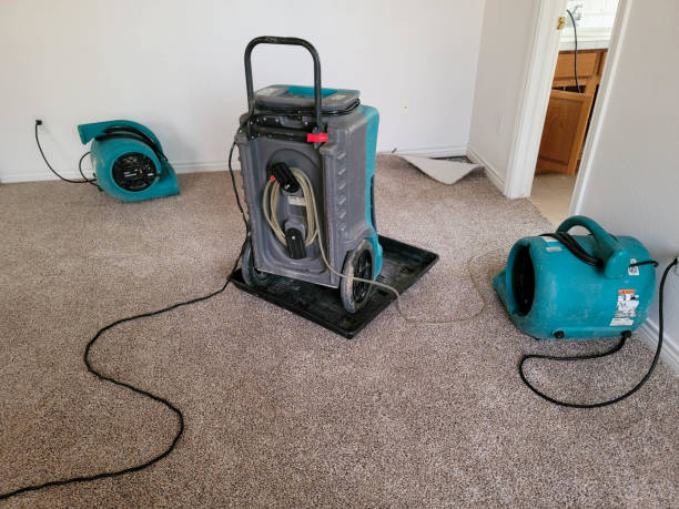 Carpet water damage restoration in Renovo, PA
