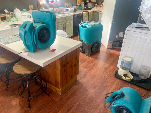 Best Commercial water damage restoration  in Renovo, PA