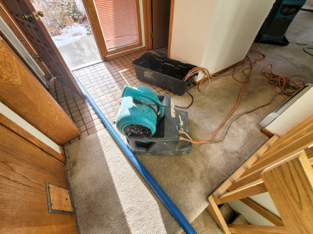 Best Water damage restoration company  in Renovo, PA