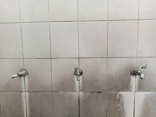 Best Emergency water damage restoration  in Renovo, PA