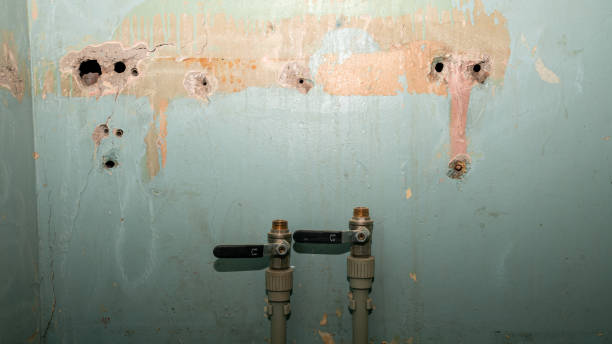 Best 24-hour water damage restoration  in Renovo, PA