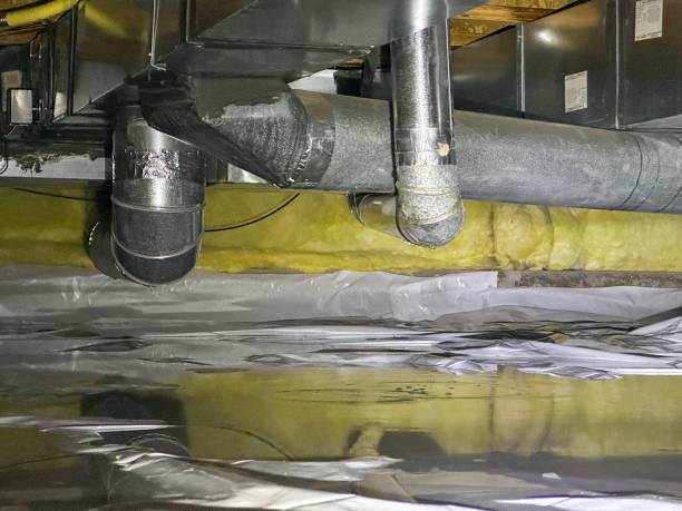 Best Flood restoration services  in Renovo, PA