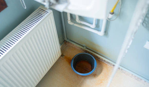 Best Water damage contractors near me  in Renovo, PA