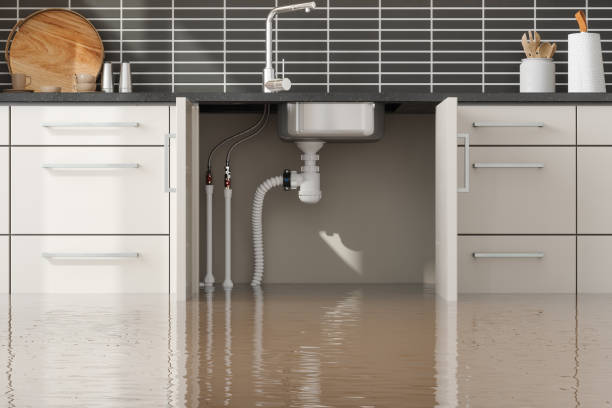 Best Local water damage restoration  in Renovo, PA