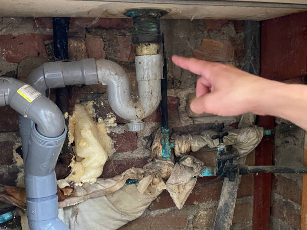 Best Flood damage cleanup  in Renovo, PA