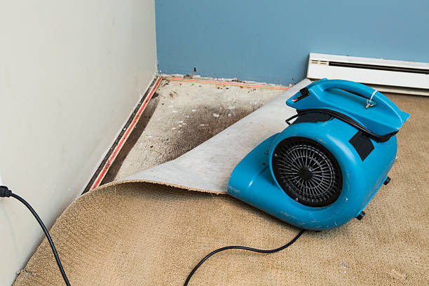 Best Sewage cleanup and water damage restoration  in Renovo, PA
